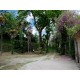Properties for Sale_Farmhouse for sale in le Marche- Italy in Le Marche_2
